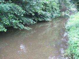 Bojovský potok 1-Měchenice 12.8.10 (3).jpg